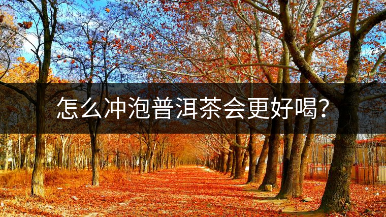 怎么沖泡普洱茶會更好喝？