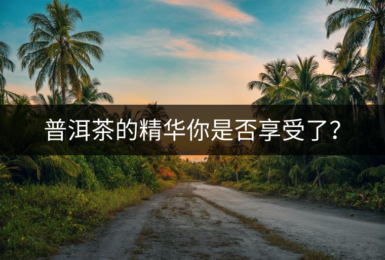 普洱茶的精華你是否享受了？