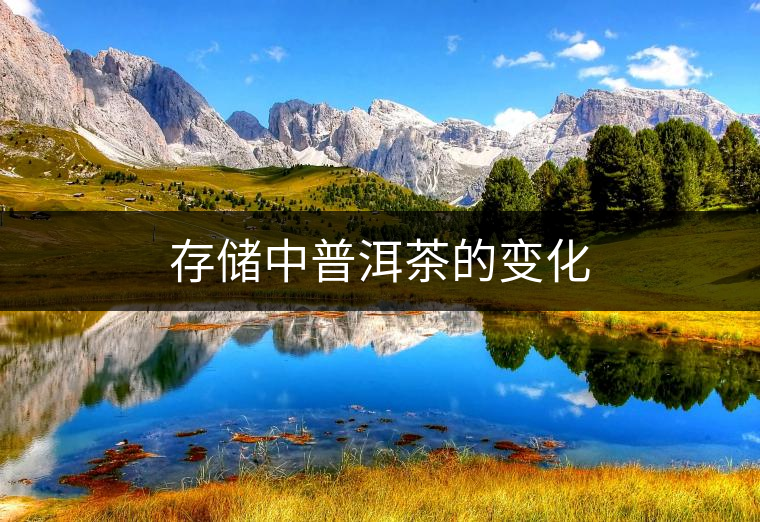 存儲(chǔ)中普洱茶的變化