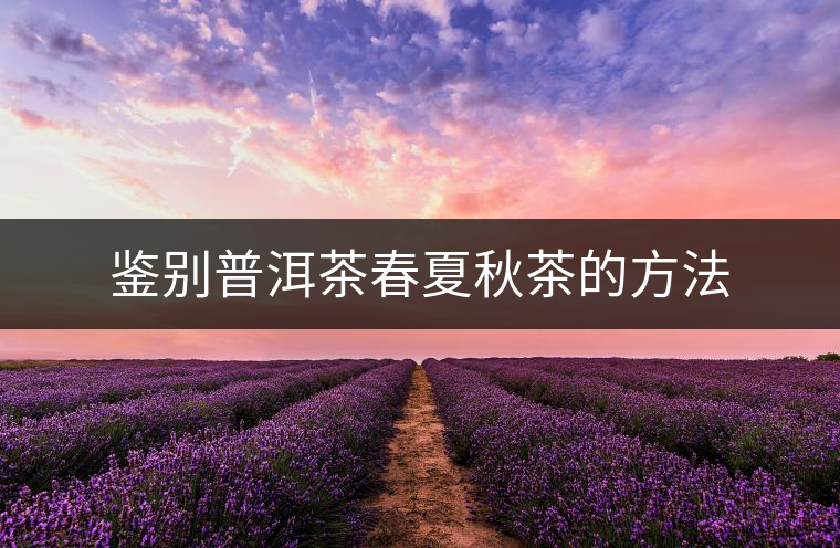 鑒別普洱茶春夏秋茶的方法