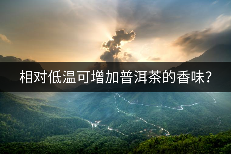 相對(duì)低溫可增加普洱茶的香味？