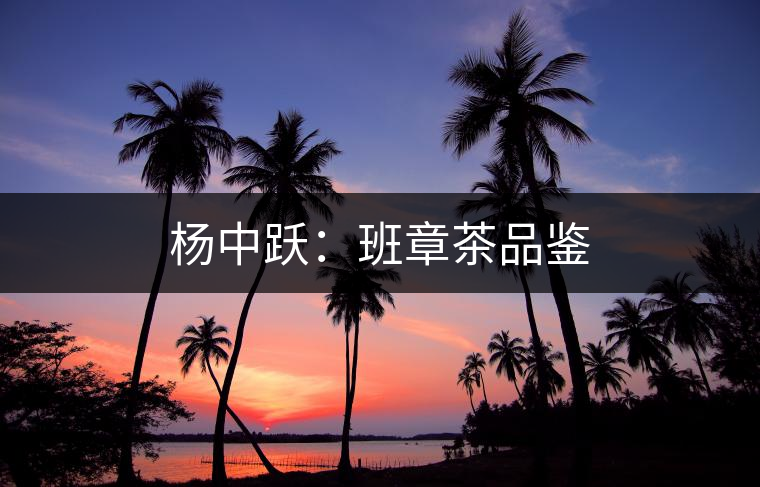 楊中躍：班章茶品鑒