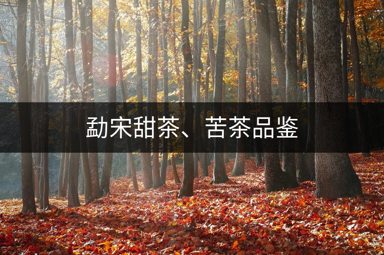 勐宋甜茶、苦茶品鑒