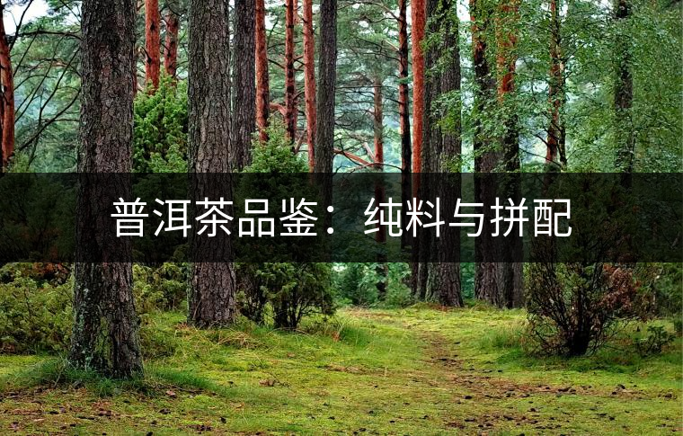 普洱茶品鑒：純料與拼配