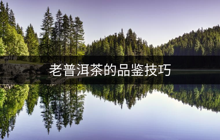 老普洱茶的品鑒技巧