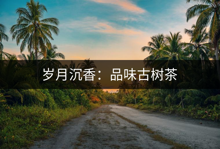 歲月沉香：品味古樹茶