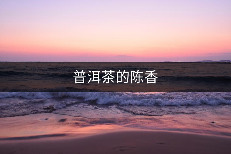 普洱茶的陳香