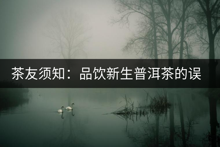 茶友須知：品飲新生普洱茶的誤區(qū)