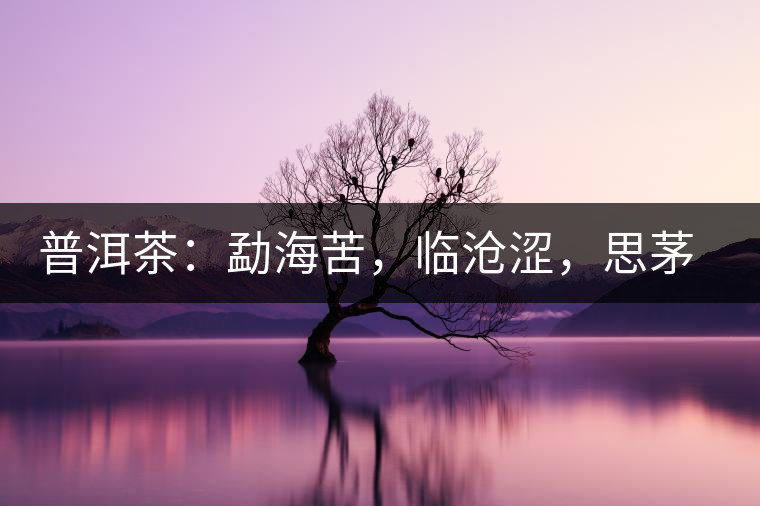 普洱茶：勐海苦，臨滄澀，思茅淡，易武柔