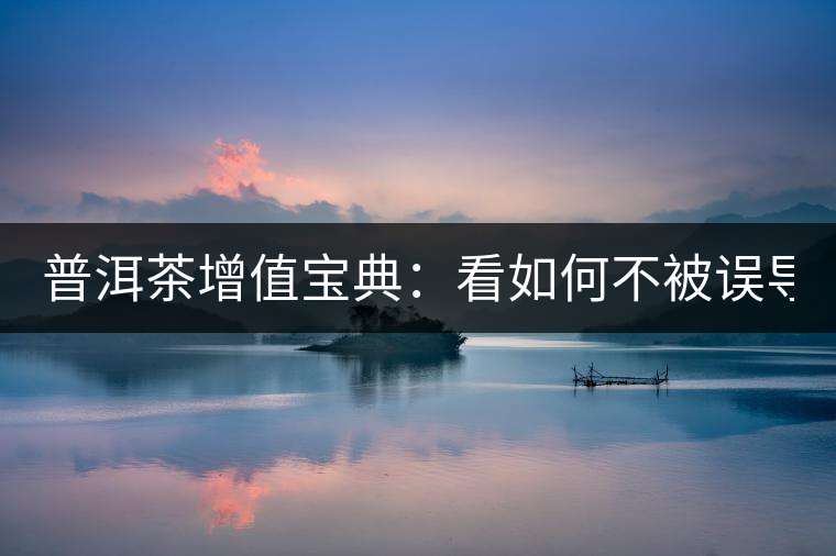 普洱茶增值寶典：看如何不被誤導(dǎo)？