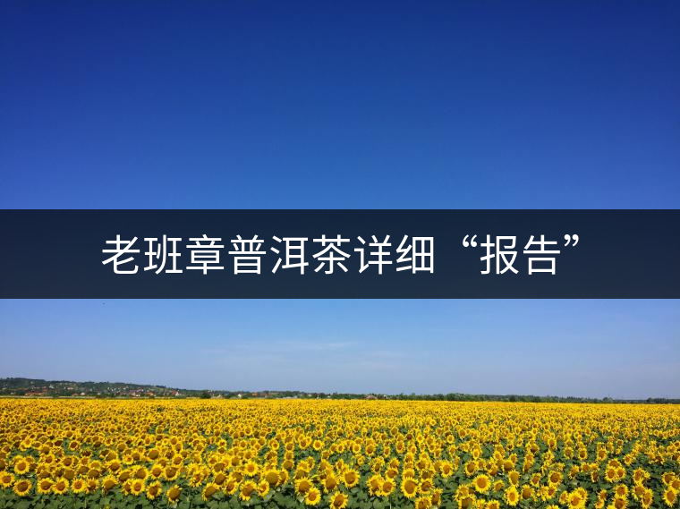 老班章普洱茶詳細(xì)“報(bào)告”