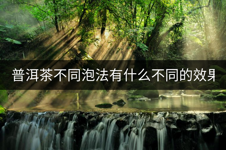 普洱茶不同泡法有什么不同的效果？