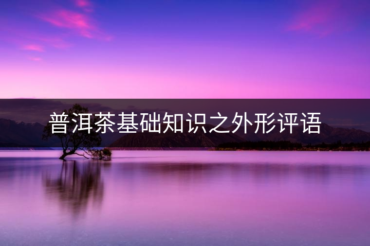 普洱茶基礎知識之外形評語