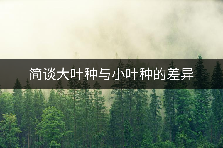 簡(jiǎn)談大葉種與小葉種的差異