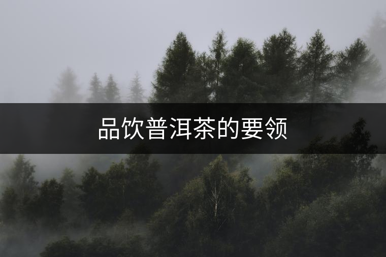 品飲普洱茶的要領