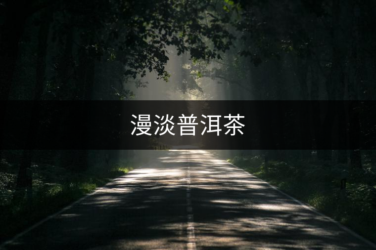 漫淡普洱茶