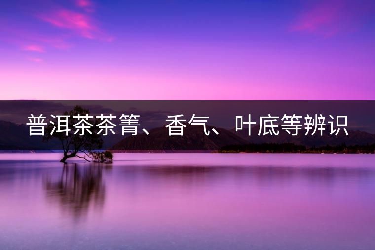 普洱茶茶箐、香氣、葉底等辨識(shí)