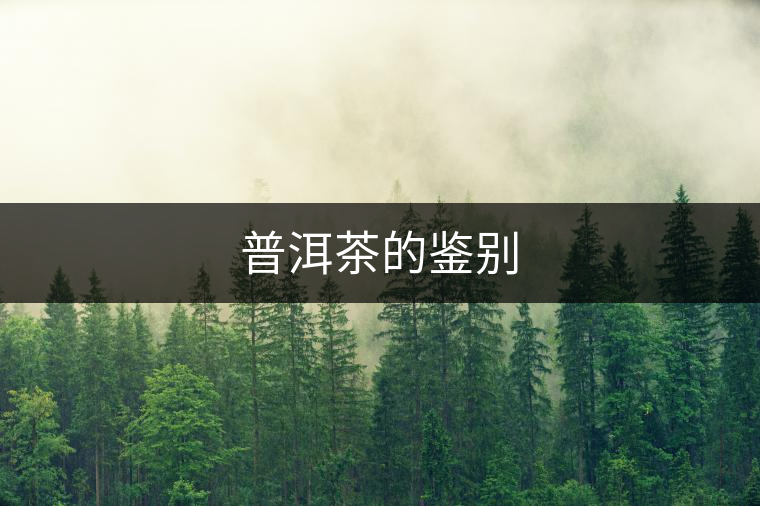 普洱茶的鑒別