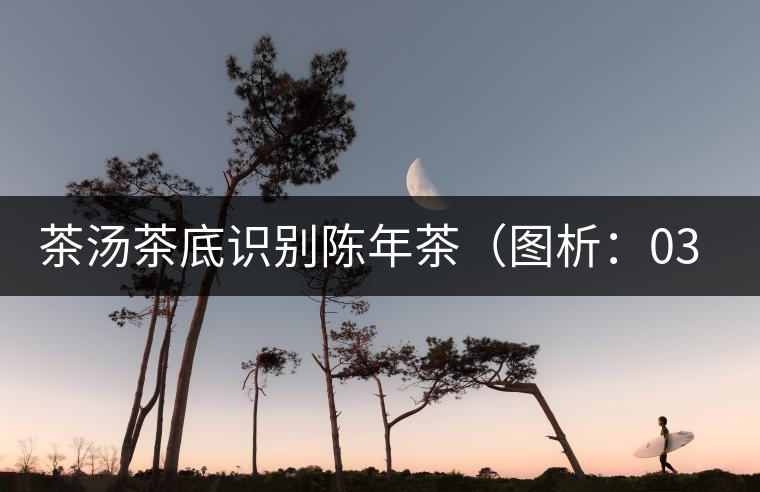 茶湯茶底識(shí)別陳年茶（圖析：03年易武餅）