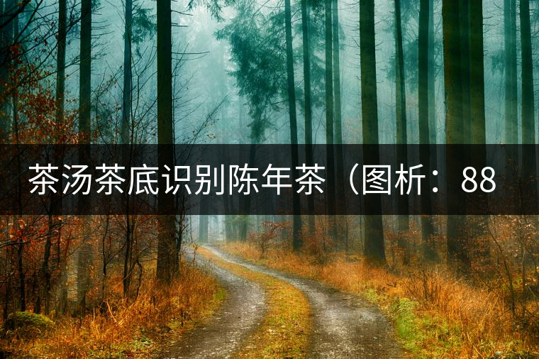 茶湯茶底識別陳年茶（圖析：88年青餅）