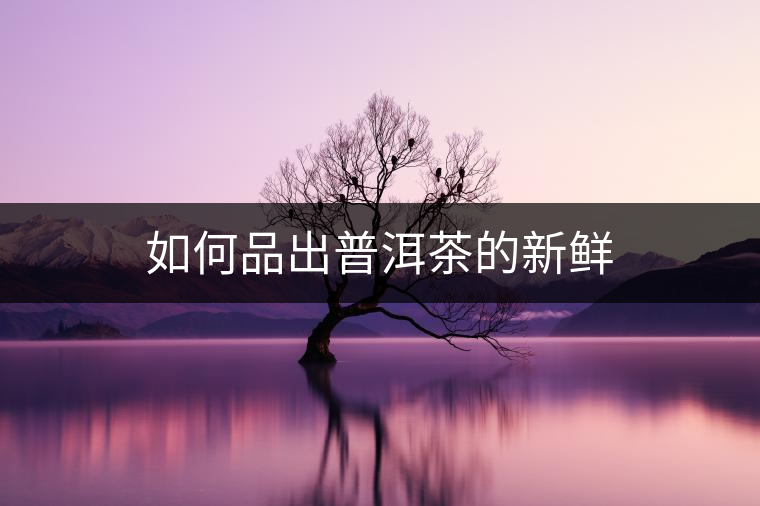 如何品出普洱茶的新鮮