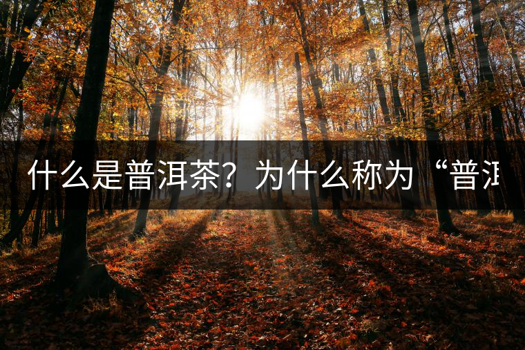 什么是普洱茶？為什么稱為“普洱”？