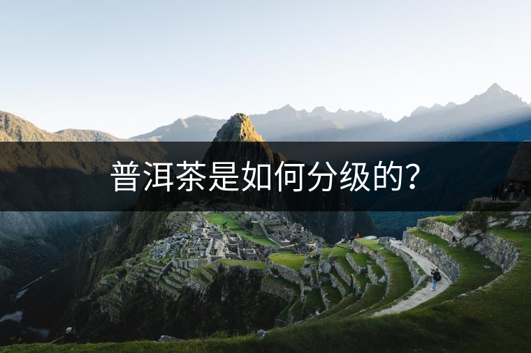 普洱茶是如何分級(jí)的？