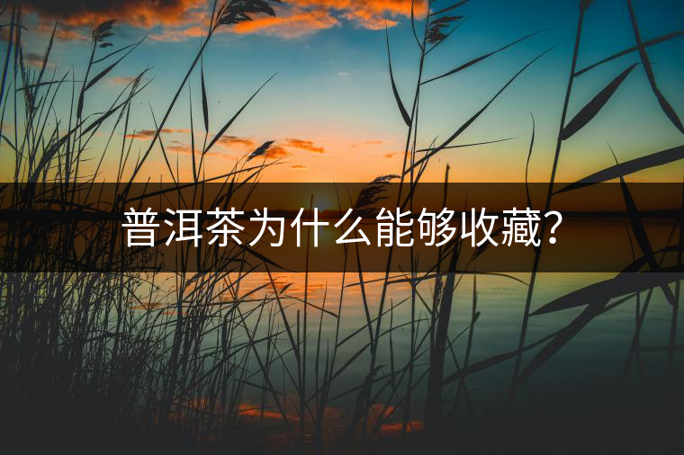 普洱茶為什么能夠收藏？
