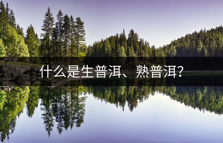 什么是生普洱、熟普洱？
