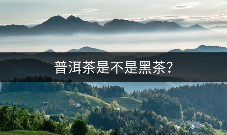 普洱茶是不是黑茶？