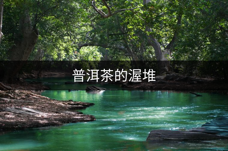 普洱茶的渥堆