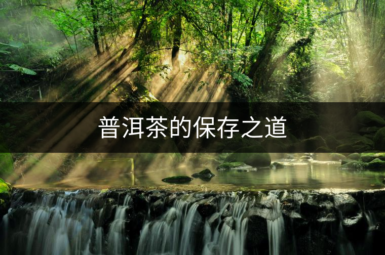 普洱茶的保存之道