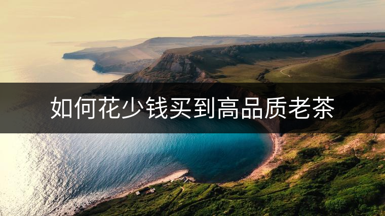 如何花少錢買到高品質(zhì)老茶