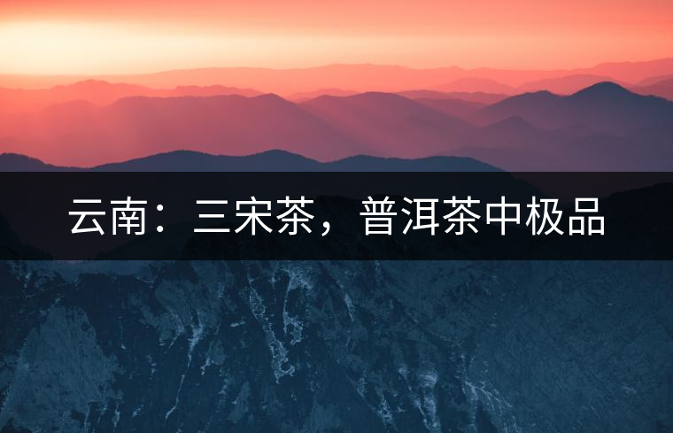 云南：三宋茶，普洱茶中極品