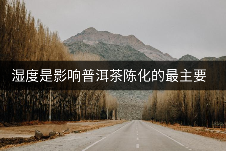 濕度是影響普洱茶陳化的最主要因素