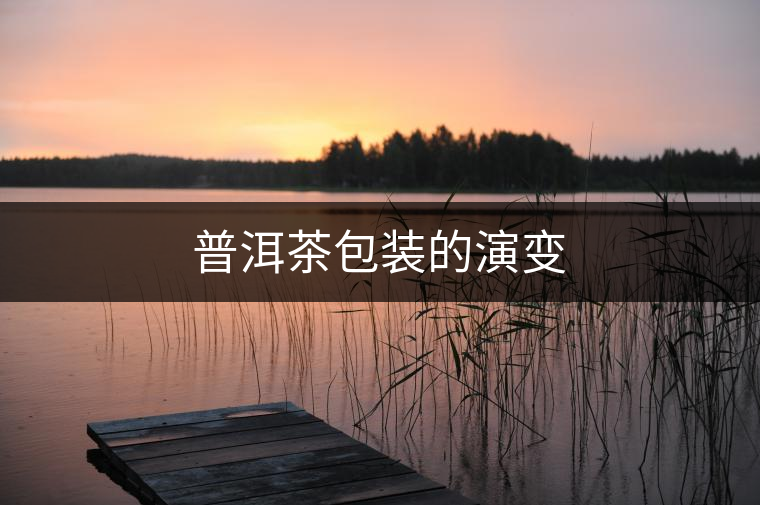 普洱茶包裝的演變