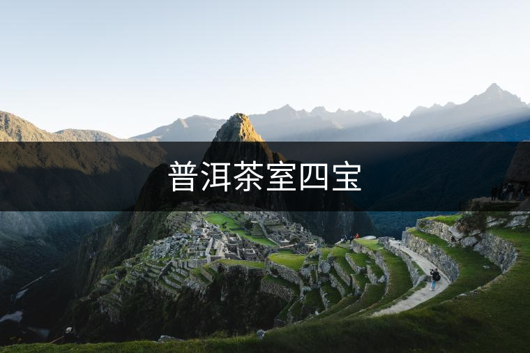 普洱茶室四寶