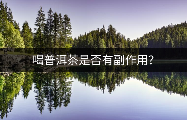 喝普洱茶是否有副作用？