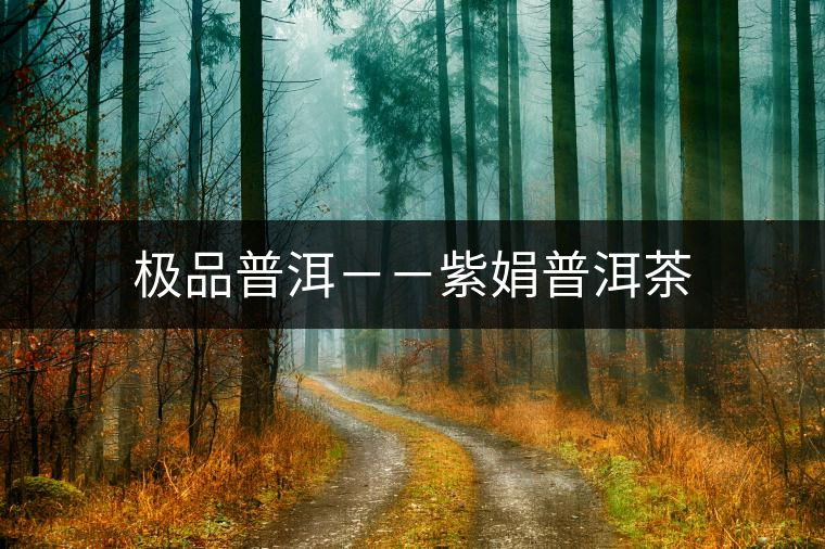 極品普洱－－紫娟普洱茶