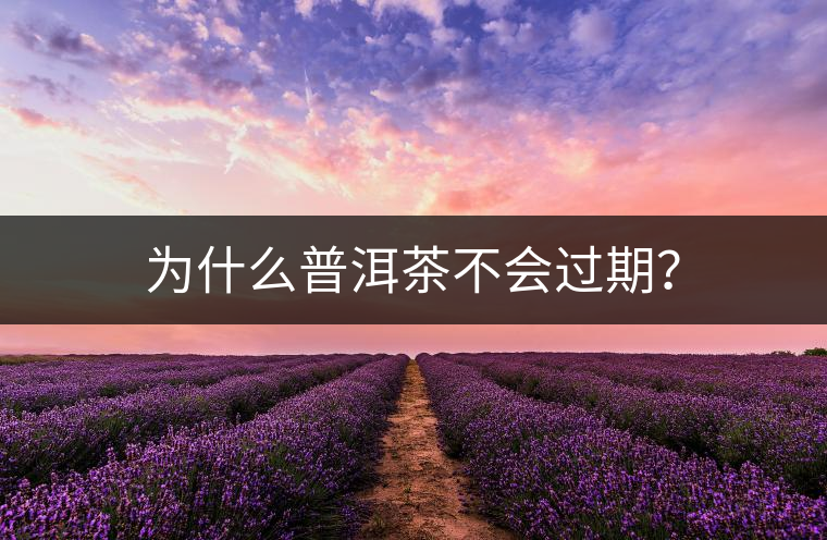 為什么普洱茶不會(huì)過期？