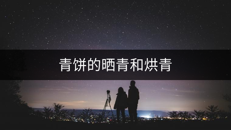青餅的曬青和烘青