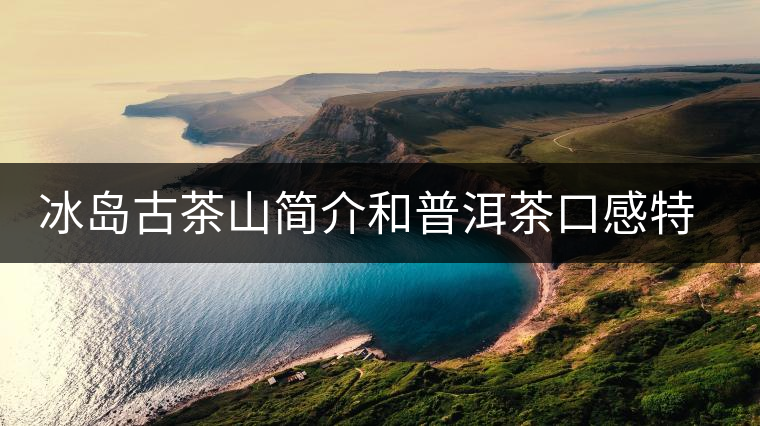 冰島古茶山簡介和普洱茶口感特點