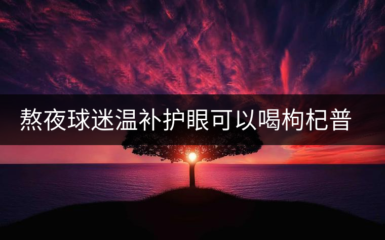 熬夜球迷溫補護眼可以喝枸杞普洱茶