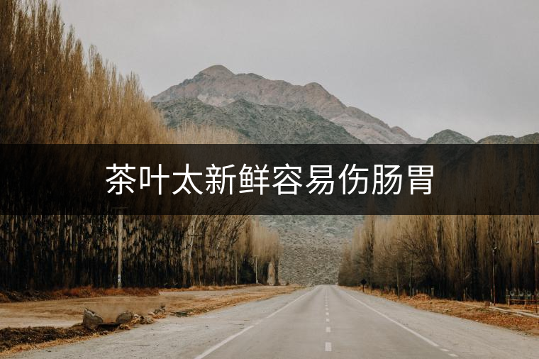 茶葉太新鮮容易傷腸胃