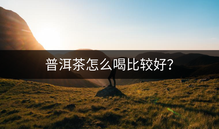 普洱茶怎么喝比較好？
