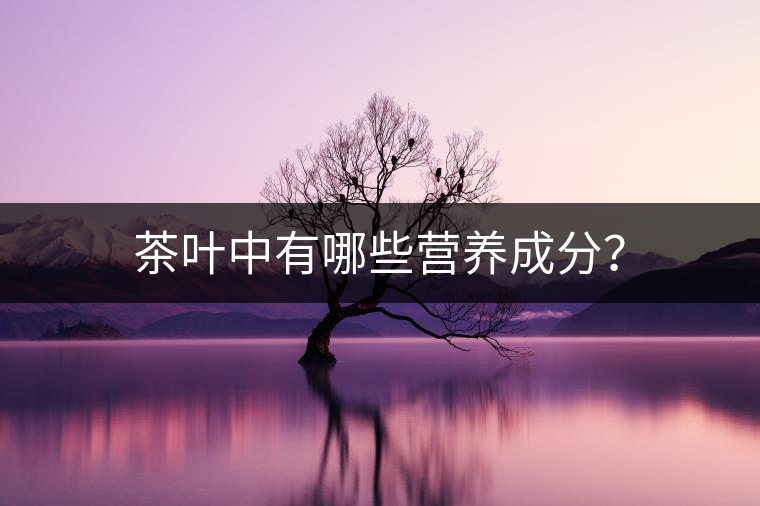 茶葉中有哪些營養(yǎng)成分？