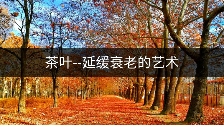 茶葉--延緩衰老的藝術(shù) 茶葉--延緩衰老的藝術(shù)