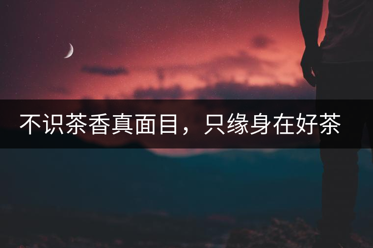 不識茶香真面目，只緣身在好茶中！茶香有9種，懂香才懂茶