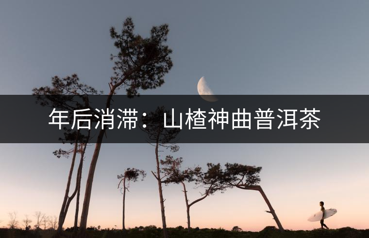 年后消滯：山楂神曲普洱茶
