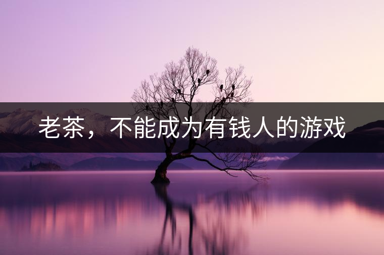 老茶，不能成為有錢人的游戲